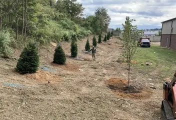 landscaping