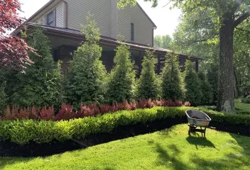 landscaping