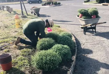 landscaping